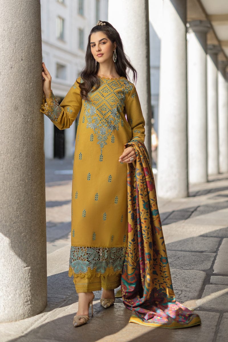WINTER COLLECTION DHANAK EMBROIDERY 3PC