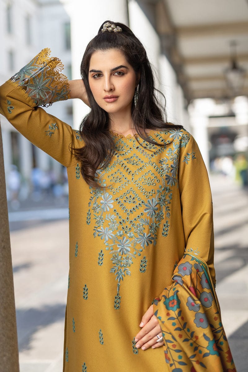WINTER COLLECTION DHANAK EMBROIDERY 3PC