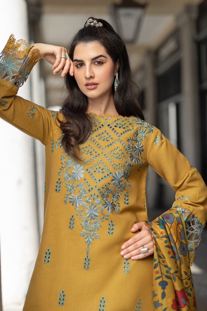 WINTER COLLECTION DHANAK EMBROIDERY 3PC