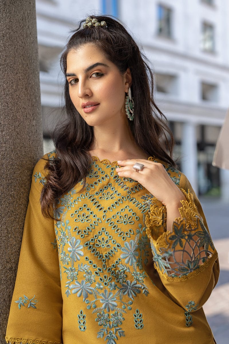 WINTER COLLECTION DHANAK EMBROIDERY 3PC