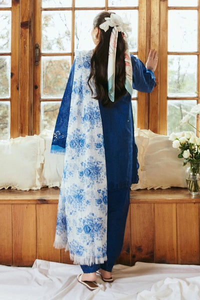 Embroidery Dhanak B_03