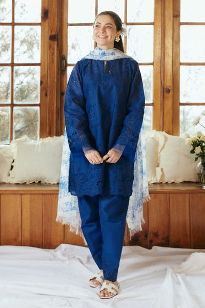 Embroidery Dhanak B_03